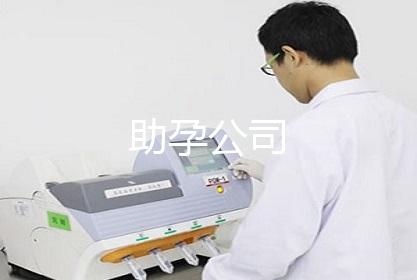 助孕公司