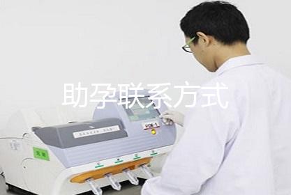 助孕联系方式