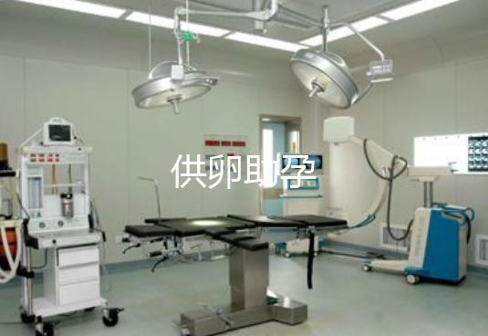 供卵助孕