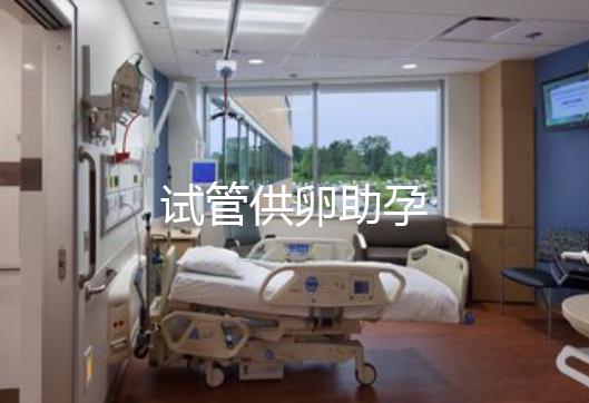 试管供卵助孕